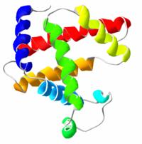 The tertiary structure of proteins is of great interest, as the shape of a protein determines much, if not all, of its function.