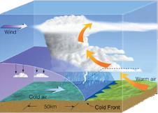 T-Storm develops at leading edge (front edge) Frontal Thunderstorms Differences from air mass T-Storms Last longer