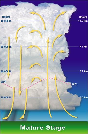 2. Mature Stage tall & active cumulonimbus Precipitation/rain begins, cooling surrounding air.