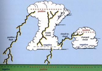 - charge at bottom of cloud attracts and pulls positive charges on the ground to the tops of trees.