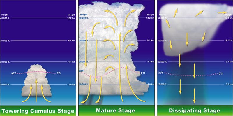 Dissipating Stage: Entire cell becomes an area of downdraft