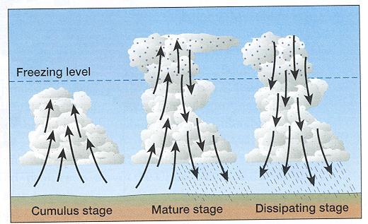 active precipitation; cumulonimbus clouds Thunderbolts Positive
