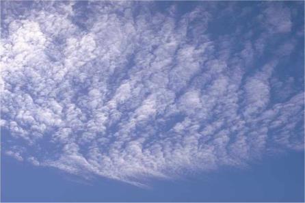 precipitating puffy-shaped clouds layered clouds Cirrus Figure 5.