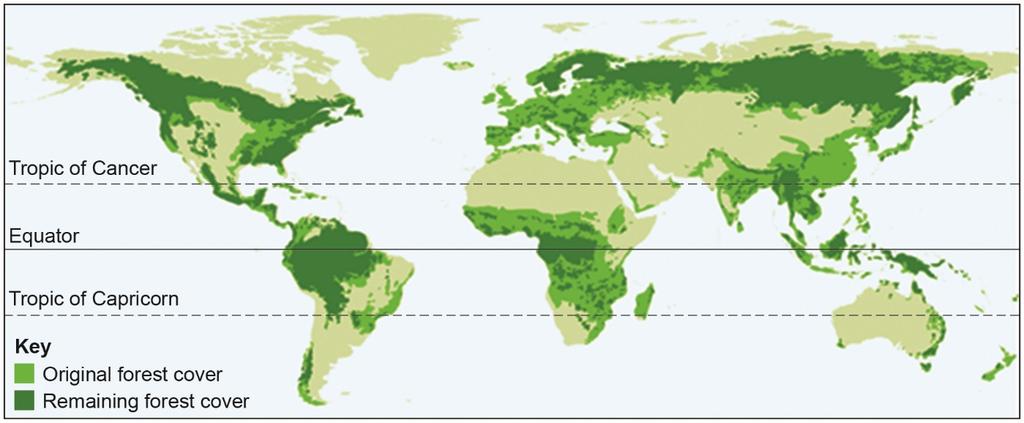 10 Section B The living world Answer all questions. 0 2 The living world Study Figure 6, a map showing global forest cover. Figure 6 0 2.