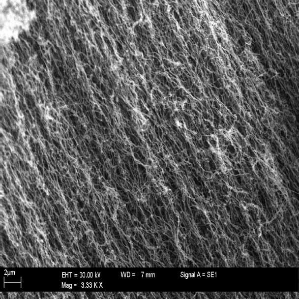 210 N. Girun et al. Figure 2. SEM images of carbon nanotubes, reaction temperature 8508C, hydrogen flow rate 300 ml/min, and reaction time 45 minutes.
