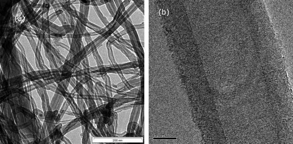 It is obvious from the images that all the nanotubes are hollow and tubular in shape. In some of the images, catalyst particles can be seen inside the nanotubes.