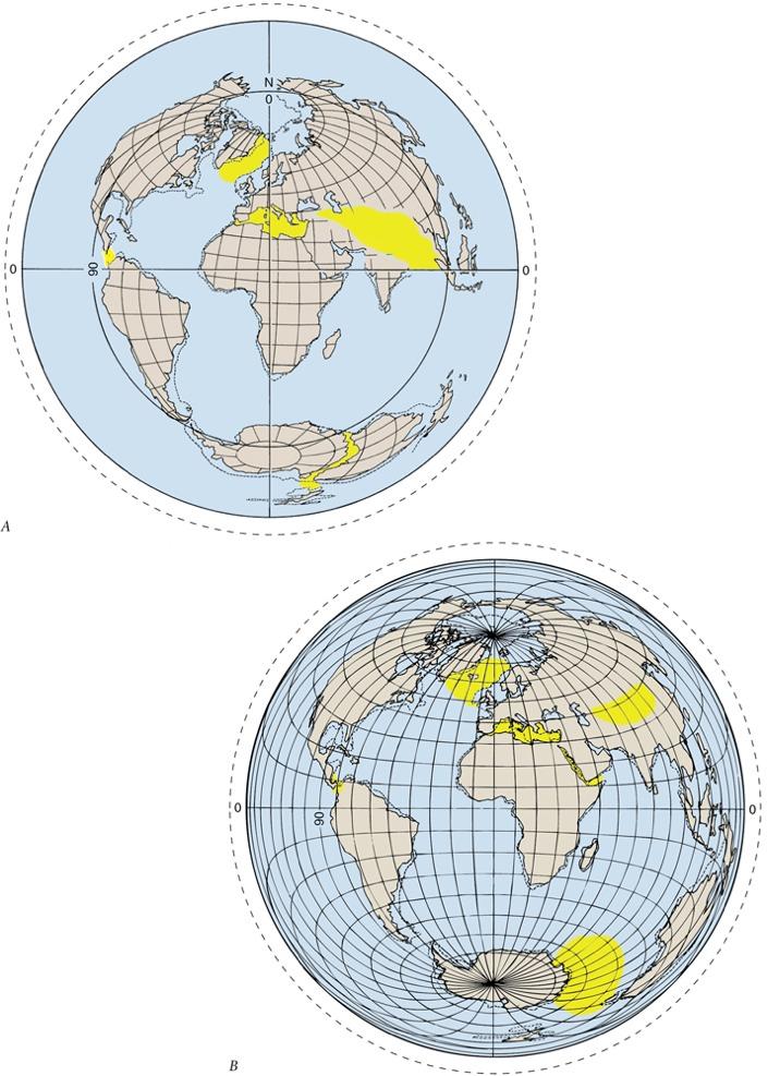 Position of the continents today.