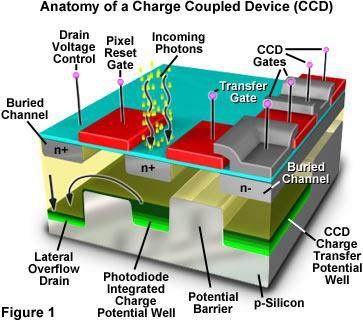 Electronic Information Digital Camera CCD s (Charge- Coupled Devices) output a voltage