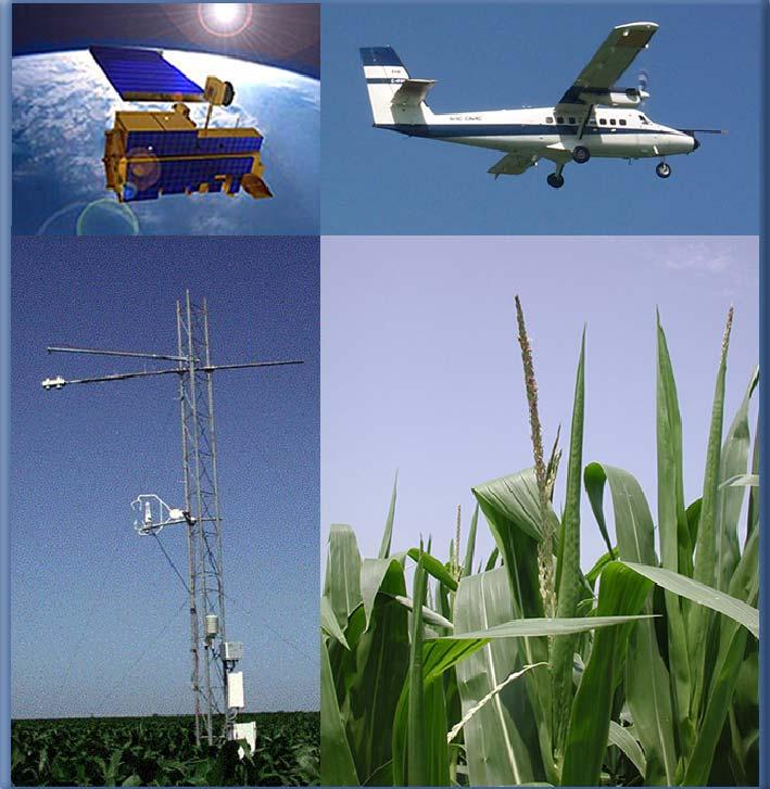 P. Kustas USDA-ARS, Hydrology and Remote Sensing