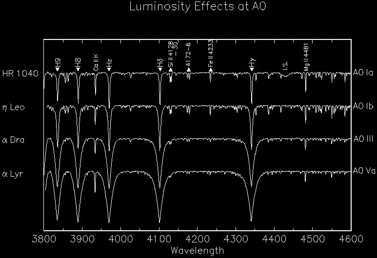 Stellar classification Balmer lines indicate stellar luminosity Gravity à atmospheric density à line broadening Are the ionization levels for different elements observed in a given spectral type