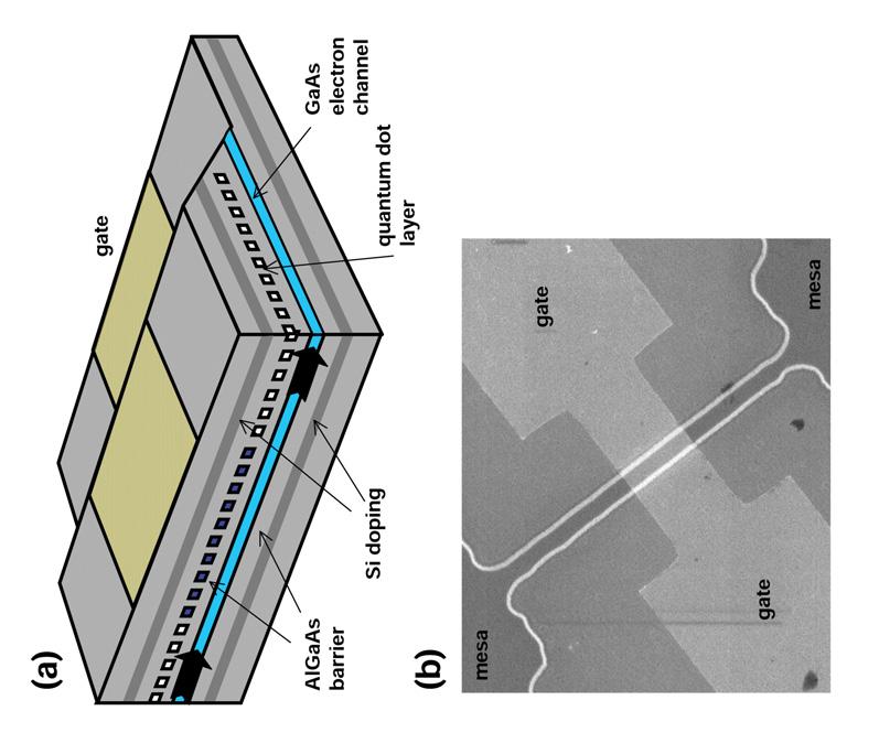 Figure 8: Cross-sectional view of a QD FET structure with a small area Schottky gate and scanning electron microscope image of the gate region for an FET with a 2 µm wide mesa and 4 µm long gate