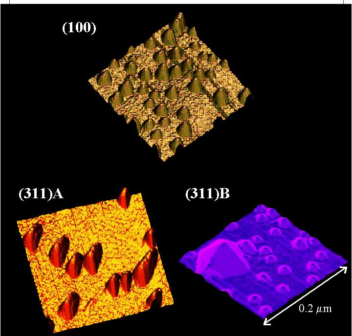 Figure 2: Scanning tunnelling microscope pictures (100x100 nm) of InAs/GaAs QDs grown by MBE on (100), (311)A and