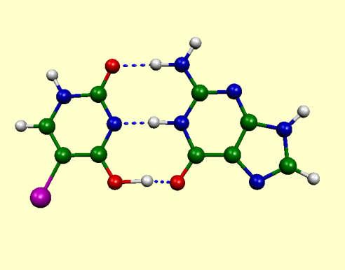 5-bromouridine is mutagenic => 5BrU must be able to bind with G