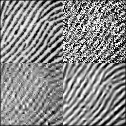 Top-left: original image. Top-right: noisy image, PSNR = 8.1dB (σ = 100). Bottom-left: denoising result using soft thresholding [40] with a single hand-optimized threshold, PSNR = 18.0dB.