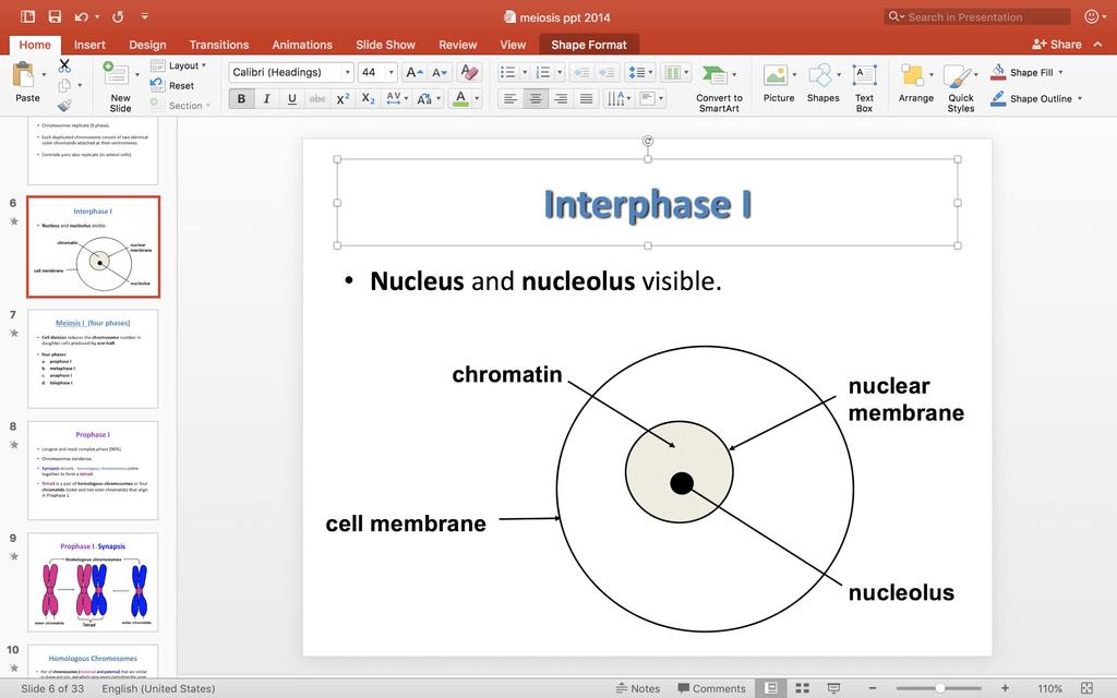 Interphase I Nucleus