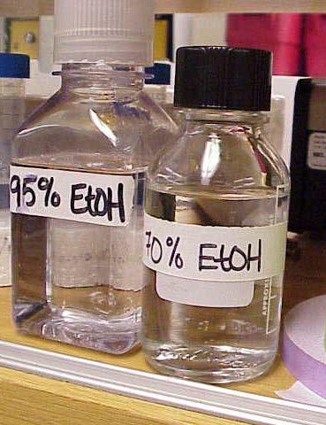 Labeling Secondary Containers All chemical containers must be labeled with the
