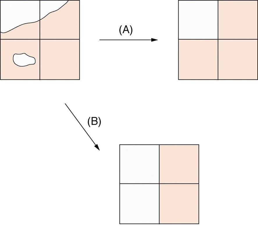 Raster Representation Effect of a raster representation