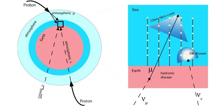 Detection principle atmospheric muons atmospheric neutrinos: cosmic