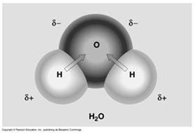 Compounds and Molecules Compounds composed of molecules Molecules of compounds have atoms of 2 or more elements bonded together. Example: water http://kentsimmons.uwinnipeg.ca/cm1504/introchemistry.