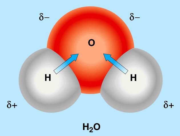 Polar covalent bonds Pair of electrons shared unequally by 2 atoms