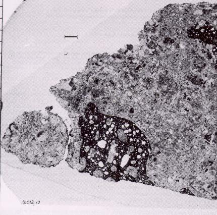 Figure 4: Photomicrograph of thin section 12013,13 showing