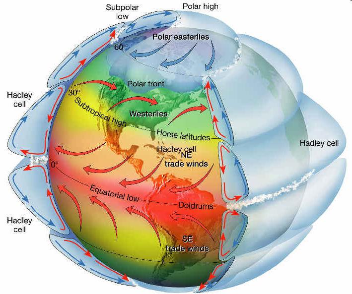 The Three-Cell model of global circulation that is driven by the