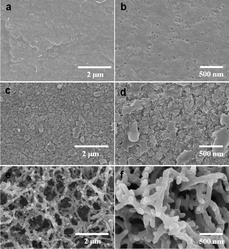 For the preparation of the organic part of hybrid materials, electrochemical polymerization is indeed an attractive method because the morphologies of polymers can be controlled through simple