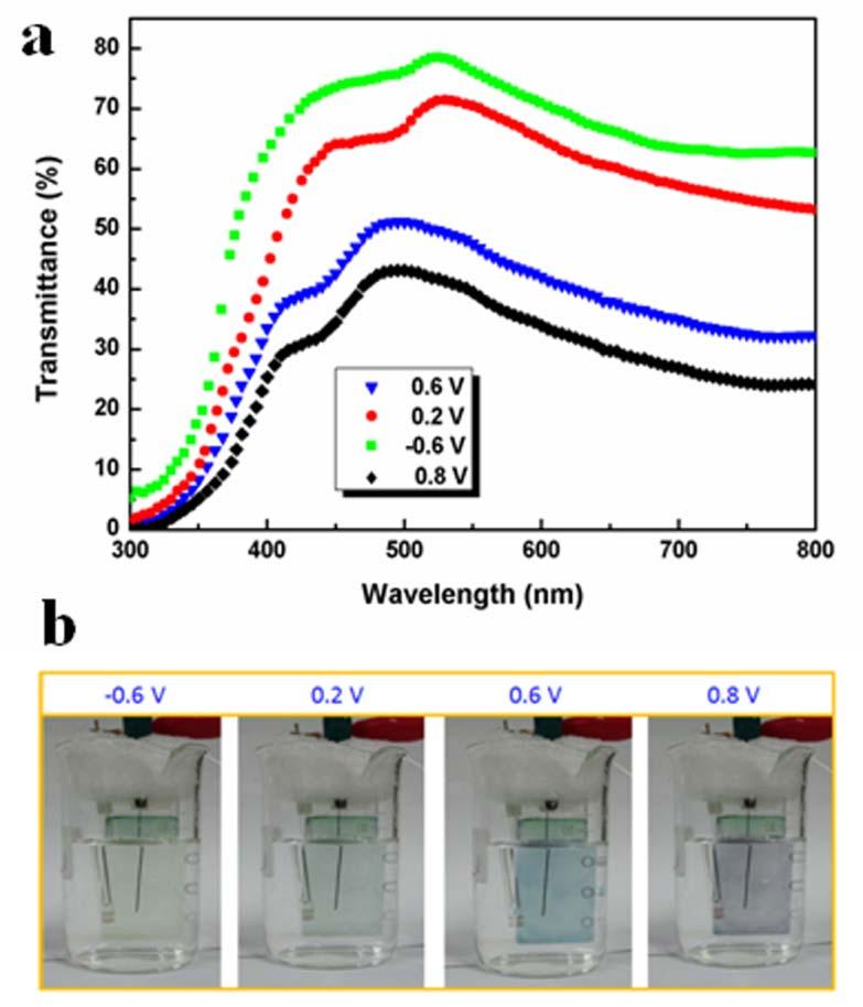 Fig. S5 (a) Transmittance spectra of PANI films prepared by potentiodynamic cycle under different voltages, (b) the corresponding digital photos of PANI films under different voltages.