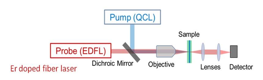 Pump (QCL) Probe (EDFL) Dichroic Mirror Er doped fiber laser 17 Objective Sample 14 k. Lenses Detector Figure 4.