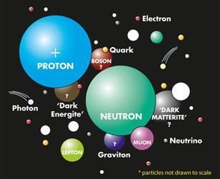 Contents of an Atom amu = atomic mass unit = 1.