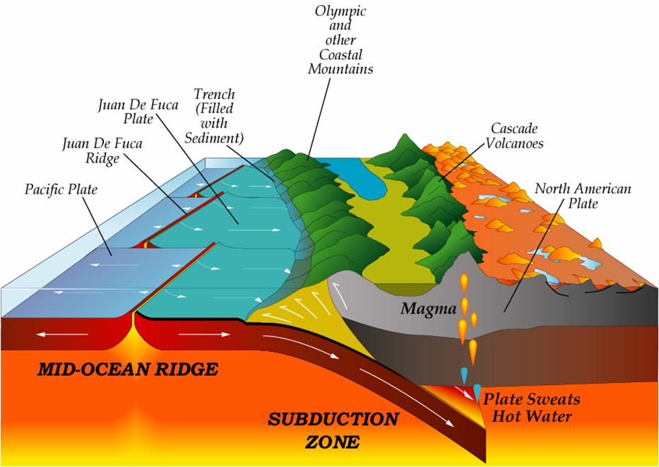 the North America plate Subduction zone
