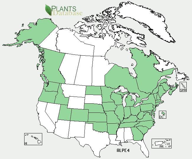 States Where Garlic Mustard is Present USDA PLANTS DATABASE