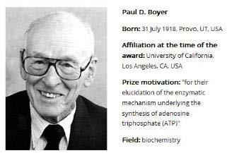 The Nobel Prize in Chemistry 1997: