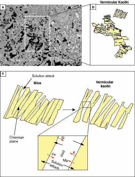 Figure 3: Illustration of (a) primary feldspar showing lamella structure, cleavage and cracks, (b) solution attack along cracks and dissolution of grain edges, (c) precipitation of secondary monazite