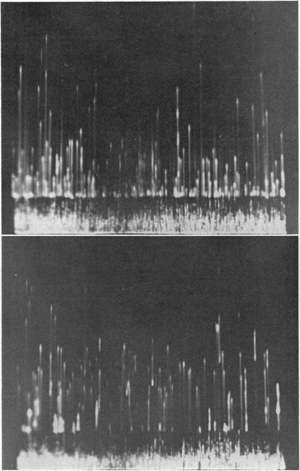 482 SWANTON, CURBY, AND LIND [VOL. 10 figures showing displayed pulses from inert particles and representative microorganisms. Table 1 shows results from counts of inert latex beads.