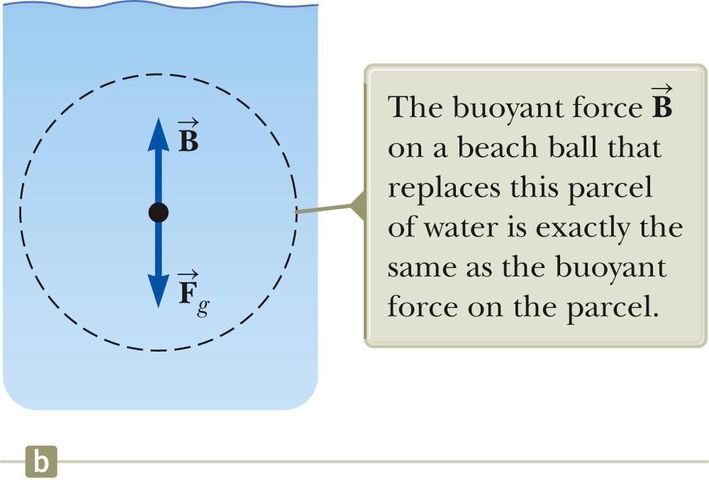 Buoyant Force The buoyant force is the upward force exerted by a fluid on any immersed object. The parcel is in equilibrium. There must be an upward force to balance the downward gravitational force.