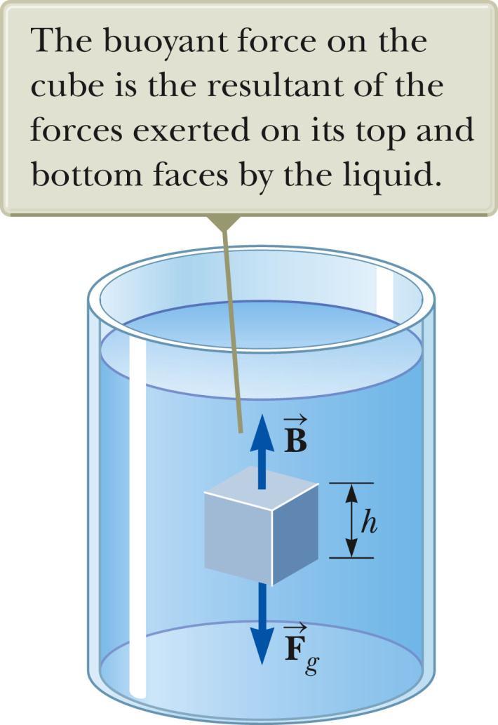 Archimedes s Principle, cont The pressure at the bottom of the cube is greater than the pressure at the top of the cube. The pressure at the top of the cube causes a downward force of P top A.
