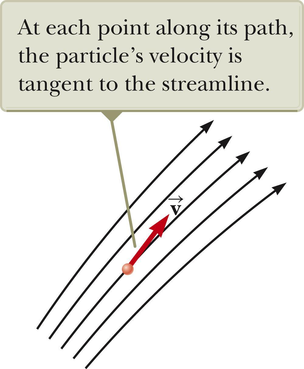 Streamlines The path the particle takes in steady flow is a streamline. The velocity of the particle is tangent to the streamline.