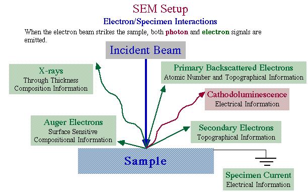 THE UNIVERSITY Chemical Analysis in the SEM Ian Jones Centre for Electron