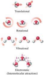 content of a system Translational kinetic energy of the molecules. Molecular rotations.