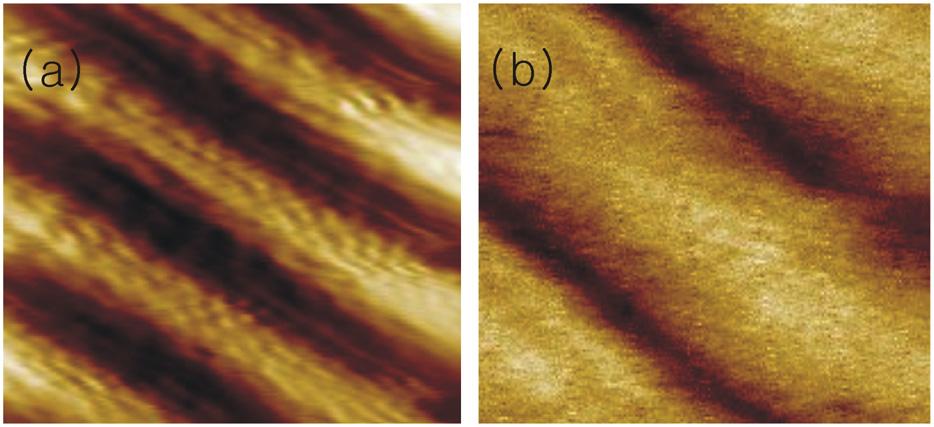 830 H. Lee et al. / Ultramicroscopy 110 (2010) 826 830 Fig. 6. The high speed images with RT-AFM were measured (a) in air and (b) in water.