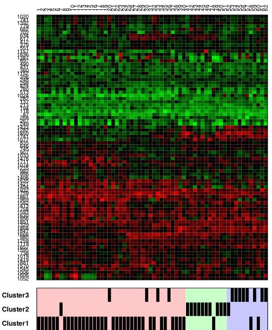 Introduction: gene expression example heatmap from De Bin & Risso (2011): 62 obs vs a subset of the original 2000 genes p >> n problem; goal: group patients with similar genetic information
