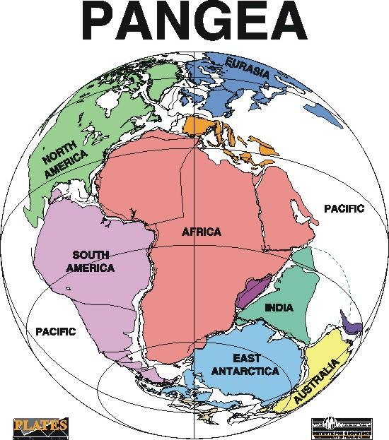 Fossils & Paleogeography Wegener s reconstruction of Pangaea was partially
