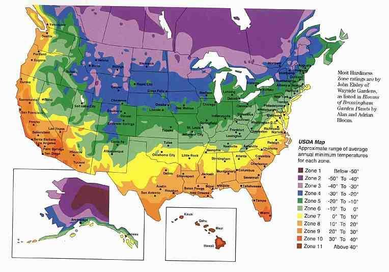 USDA hardiness Zones -10 degrees
