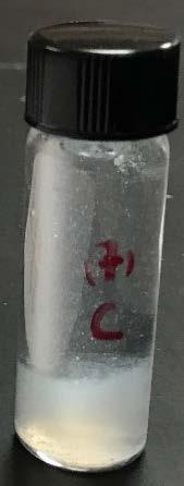 4 ml) with chloramphenicol (0.