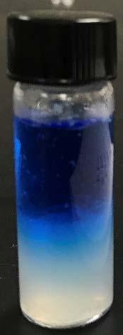 Dye diffusion and absorption studies Toluidine blue dye was selected for the