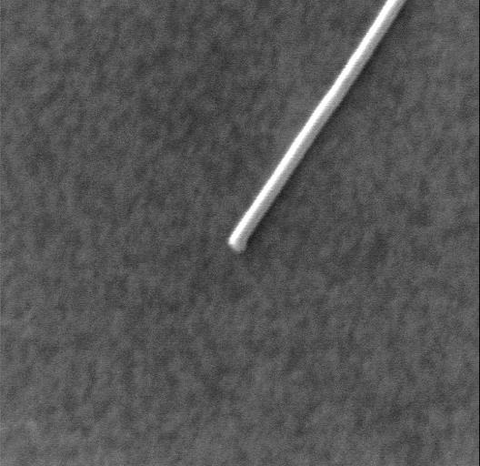 PHI 710: Nanoscale Depth Profiling Intensity SEI 60 nm Diameter Si Nanowire Surface Spectrum of Nanowire 1 P O F FOV: 2.0 µm 0.