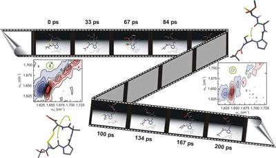 Making molecular movie Reveal the dynamics of chemical reaction in large molecules by monitoring temporal evolution of molecular