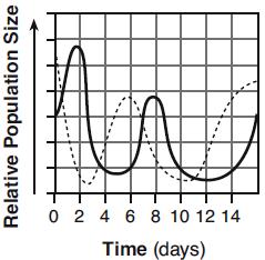 Part B-1 Questions 6. The graph represents a predator-prey relationship. What is the most probable reason for the increasing predator population from day 5 to day 7?
