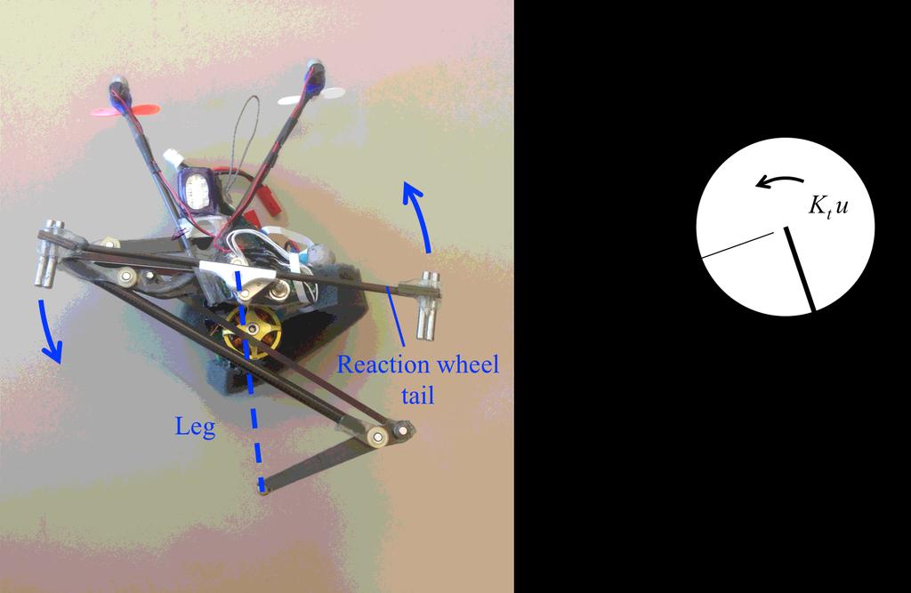 Figure 3: Picture of Salto and the x-z physics model. You can watch a video of Salto here: http://www. youtube.com/watch?